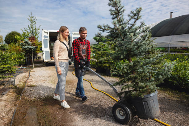 Best Weed Control  in Yreka, CA